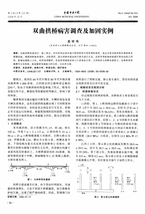 双曲拱桥病害调查及加固实例