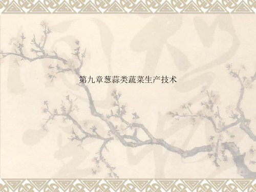 第九章葱蒜类蔬菜生产技术