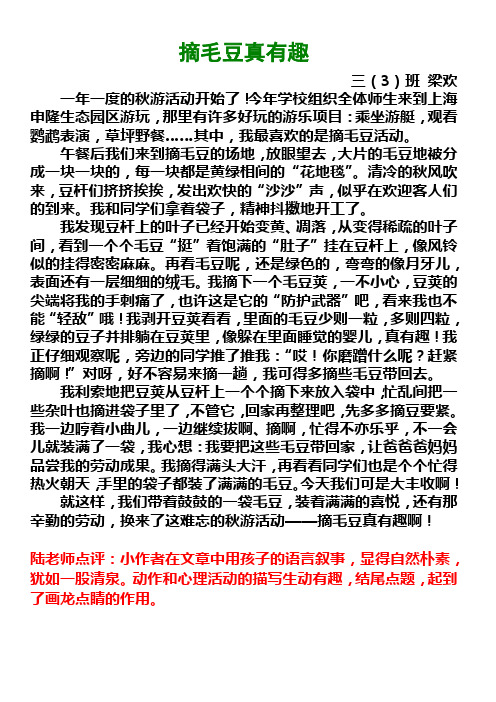 作文 摘毛豆真有趣 梁欢