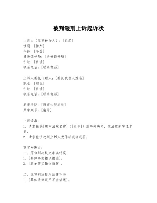 被判缓刑上诉起诉状