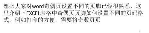 在EXCEL表格中奇偶页页脚设置不同的页码格式教程ppt课件