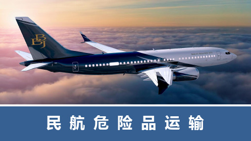第十章  锂电池的航空运输