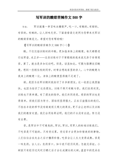 写军训的酸甜苦辣作文500字