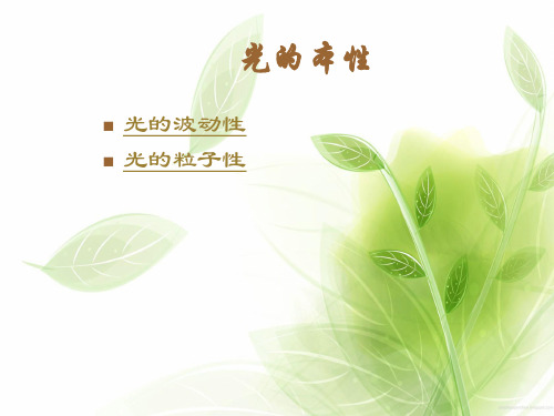 光的本性复习PPT教学课件
