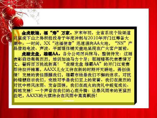 某保险公司一季度开门红业务方案以及战报29页