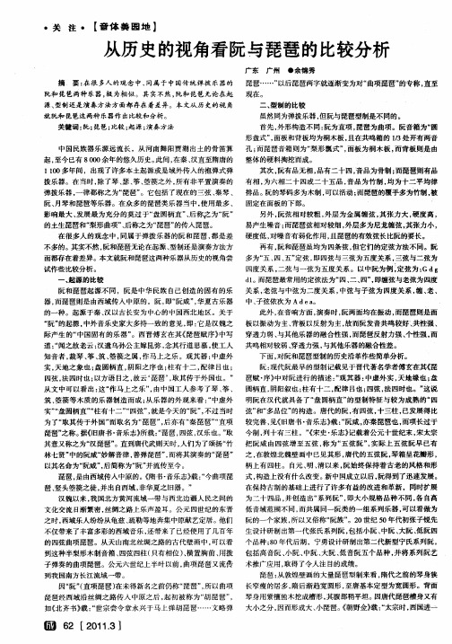 从历史的视角看阮与琵琶的比较分析