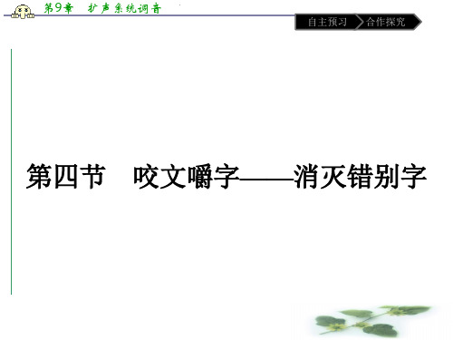 语文高中人教选修《语言文字应用》课件：第三课 第四节 咬文嚼字——消灭错别字
