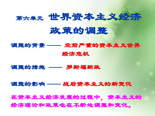 空前严重的资本主义世界经济危机ppt4 人教课标版