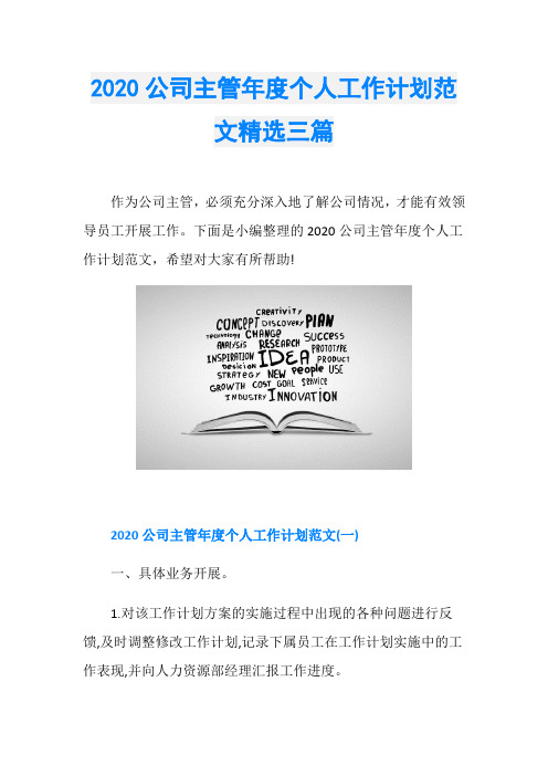 2020公司主管年度个人工作计划范文精选三篇