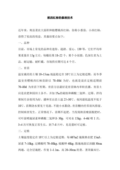桃西红柿的栽培技术