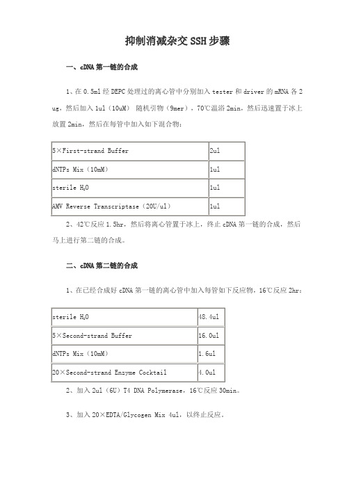 抑制消减杂交SSH步骤(精)