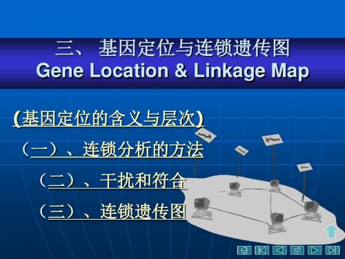 第六章基因定位与遗传连锁图02选编