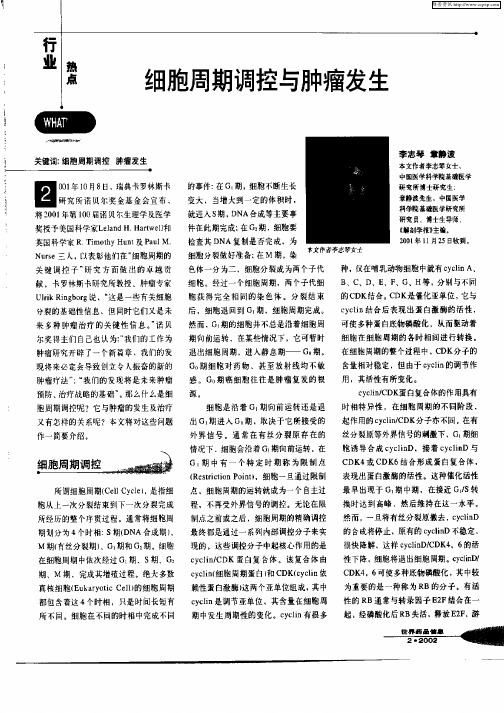 细胞周期调控与肿瘤发生