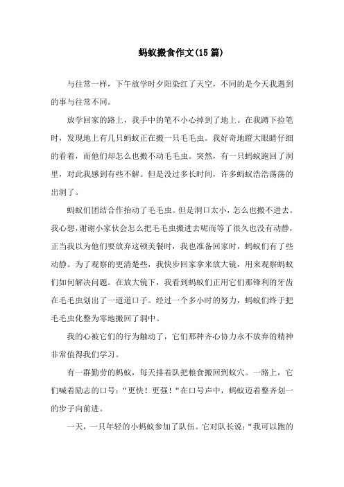 蚂蚁搬食作文(15篇)精选