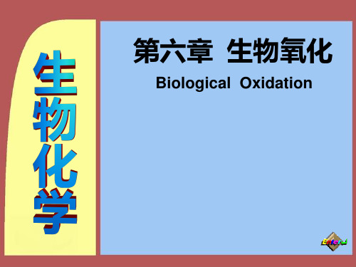[生化]生物氧化PPT