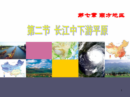 第二节 长江中下游平原