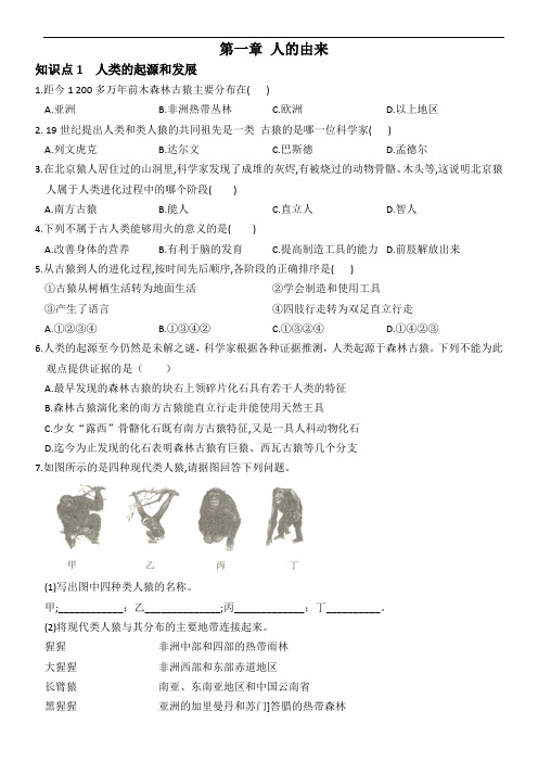 人教版七年级生物下册期末系统复习卷  第四单元第一章 人的由来