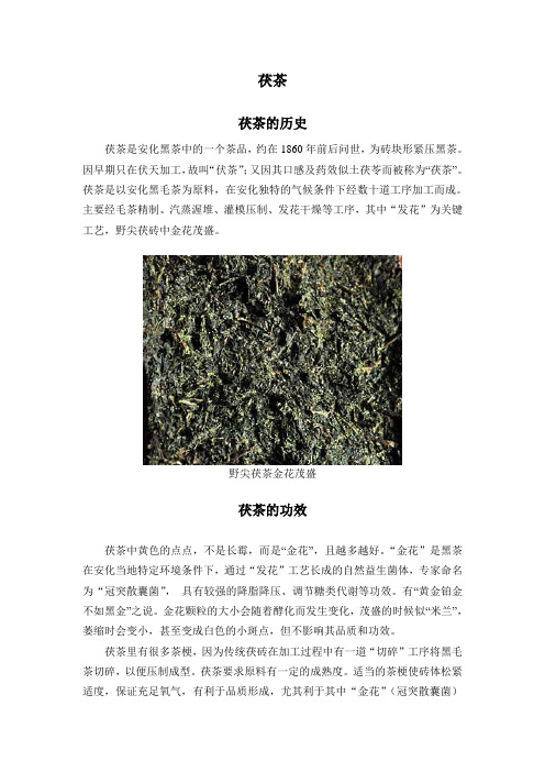 茯茶