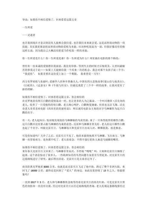 爱情文章：一生所爱