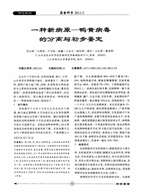 一种新病原——鸭黄病毒的分离与初步鉴定