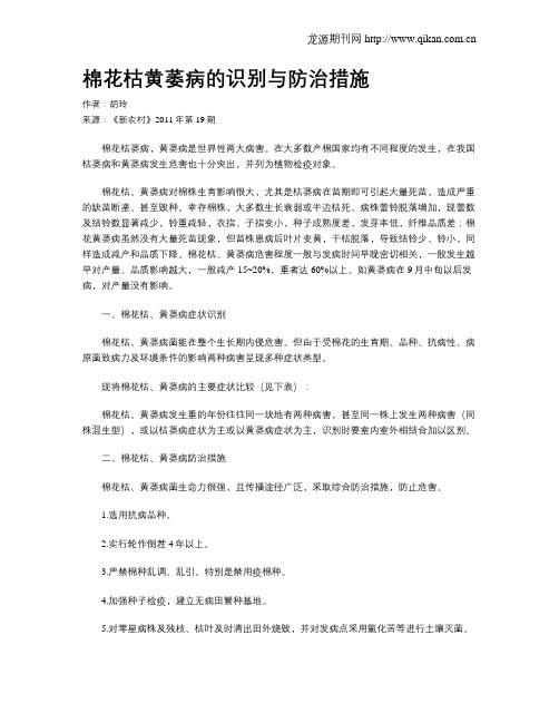 棉花枯黄萎病的识别与防治措施