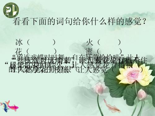 综合复习 养花