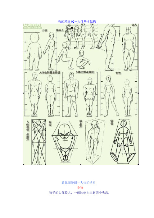 教画漫画02-人体基本结构