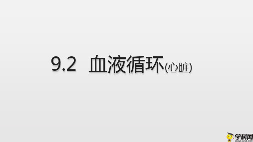 海南省华东师范大学第二附属中学乐东黄流中学北师大版七年级生物下册课件：92-血液循环(第2课时)