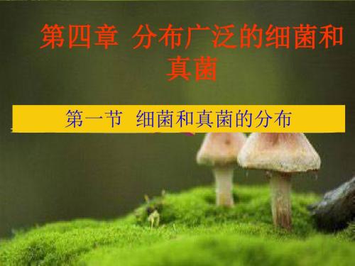 细菌和真菌的分布gg