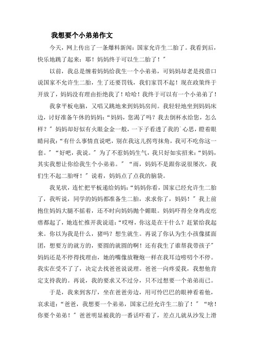 我想要个小弟弟作文精选