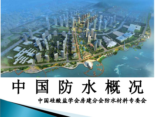 中国防水概况-讲课(2014年)
