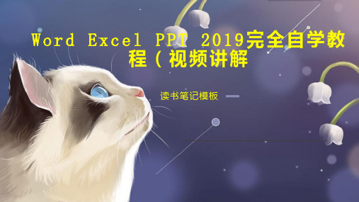 Word Excel PPT 2019完全自学教程(视频讲解