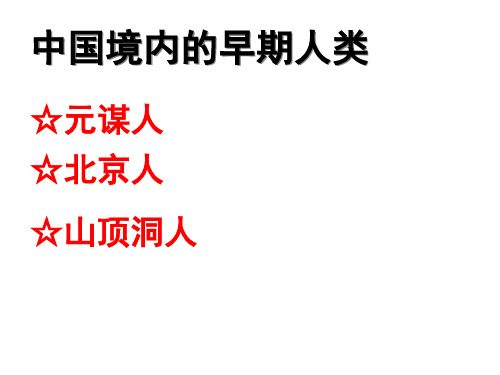 中国境内的早期人类