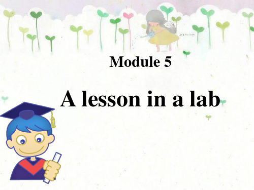辽宁沈阳二十一中英语必修1外研版Module 5-3课件(35张)