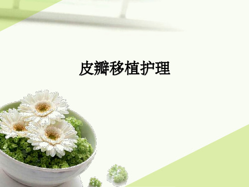 皮瓣移植护理查房PPT课件
