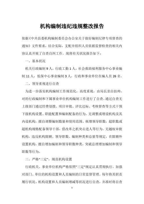 机构编制违纪违规整改报告