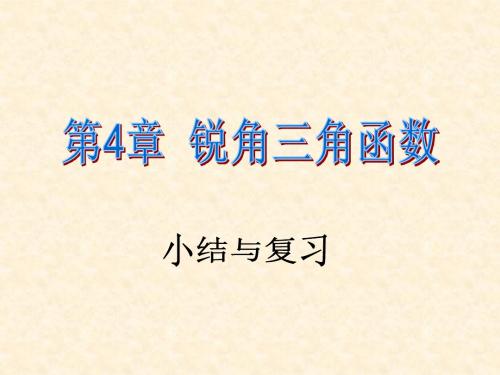 湘教版九年级上册第四章锐角三角函数复习与小结1