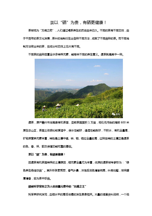 茶以“硒”为贵,虔茶中硒含量最高!