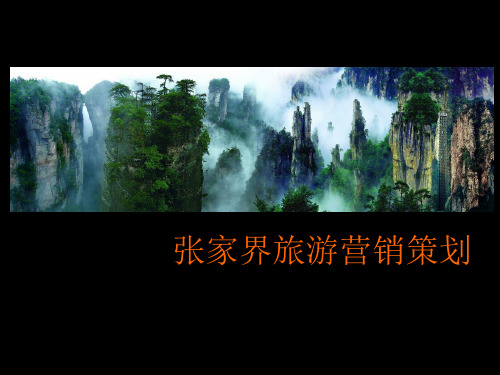 张家界旅游营销策划