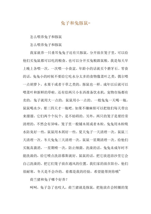 兔子和兔豚鼠--怎么喂养兔子和豚鼠