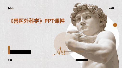 《兽医外科学》课件