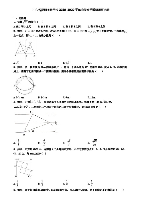 广东省深圳实验学校2019-2020学年中考数学模拟调研试卷