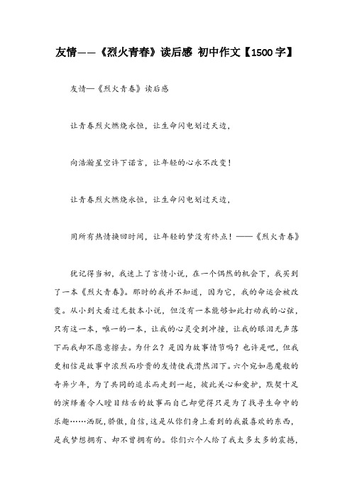 友情——《烈火青春》读后感 初中作文【1500字】