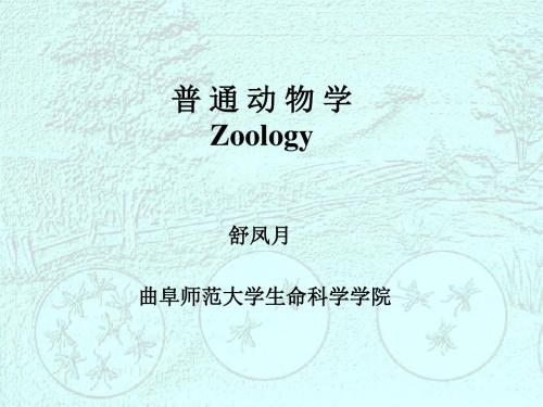 动物学-绪论课件