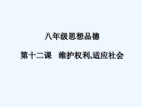 陕教版思品八下第十二课《维护权利,适应社会》ppt课件
