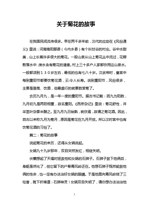 关于菊花的故事