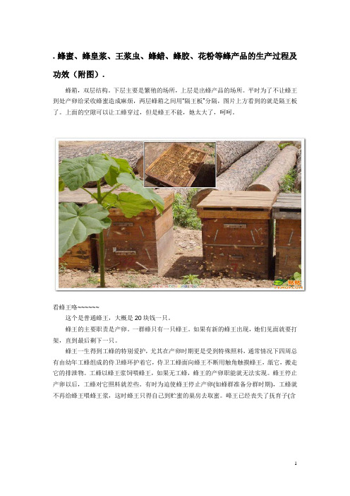 蜂蜜、蜂皇浆、王浆虫的生产过程1