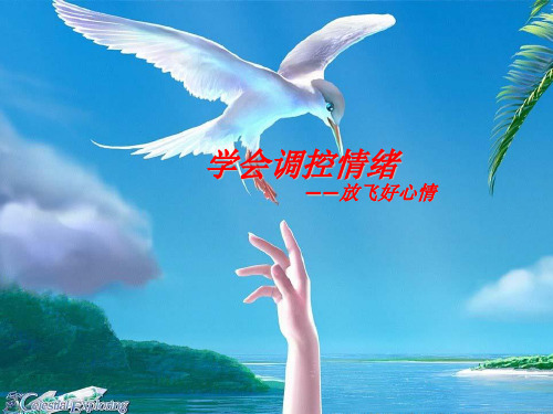 学会调控情绪放飞好心情》心理健康教育主题班会和PPT课件