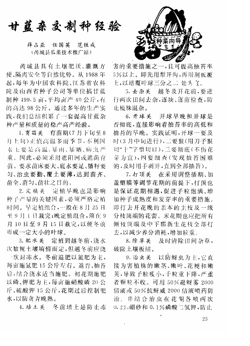 甘蓝杂交制种经验