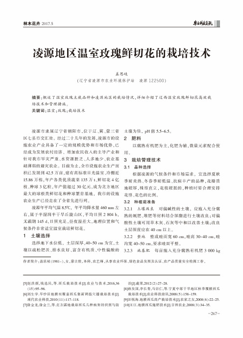 凌源地区温室玫瑰鲜切花的栽培技术